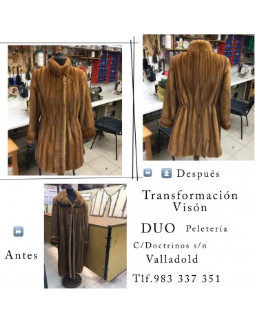 Transformación visón